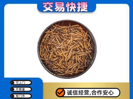 自流井区高价回收散虫草